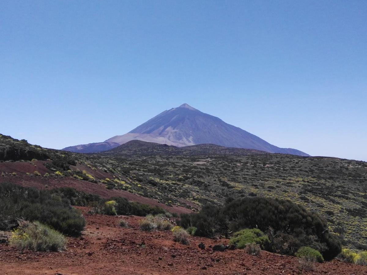 Los Diamantes Komfort Los Cristianos  Buitenkant foto